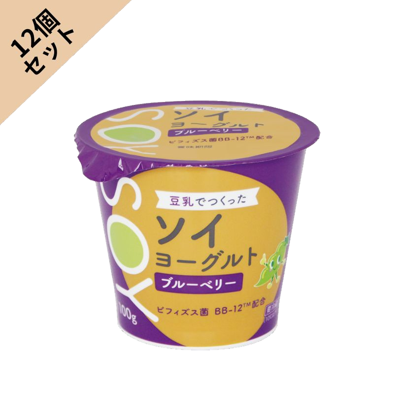 ソイヨーグルトブルーベリー 12個セット