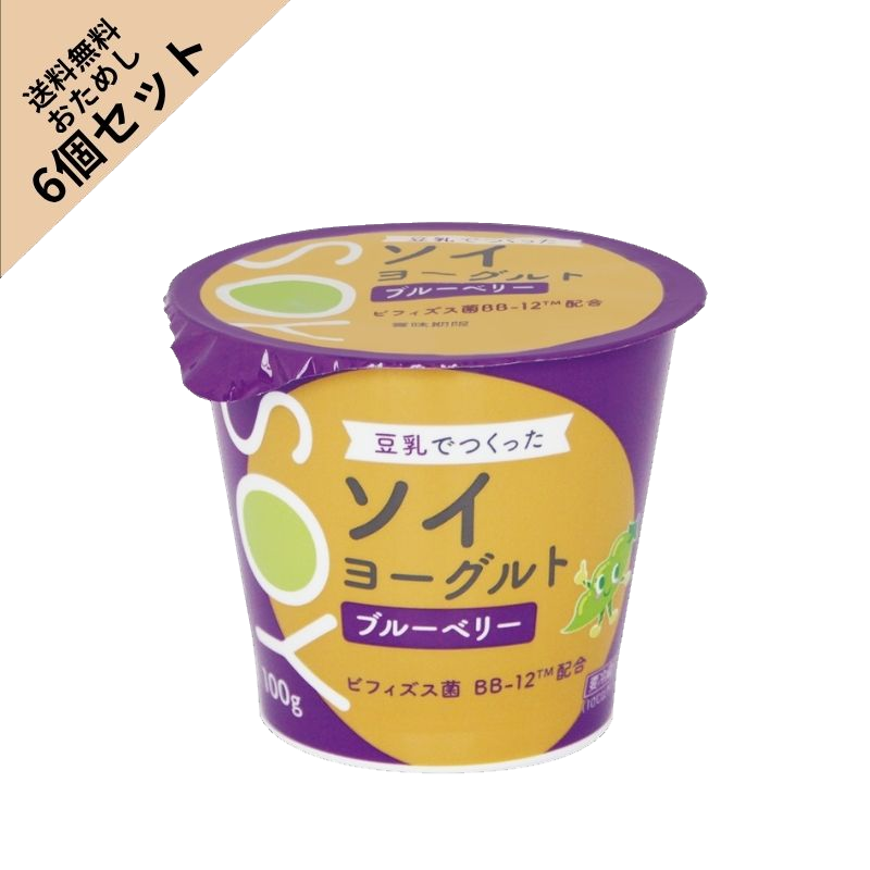 【送料無料】ソイヨーグルトブルーベリー お試し6個セット
